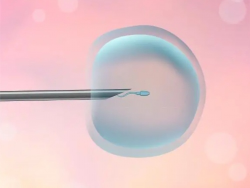 国内供精供卵需要多少钱,大姨妈迟迟不来怎么办？泌乳素高是否影响试管婴儿