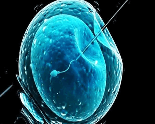 代孕电话咨询,内膜20mm移植着床恐怕太难！好孕程度没你想得那么简单