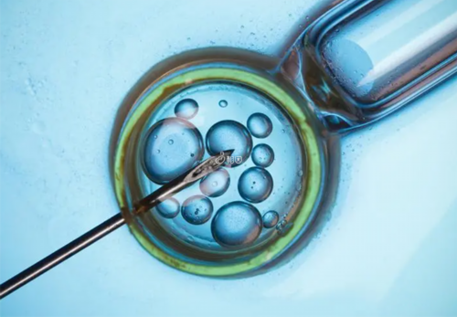 囊胚移植第八天还是白板没测到还有希望么？