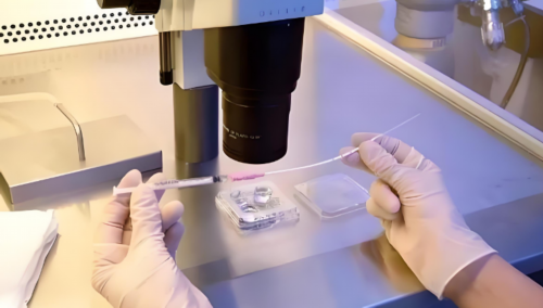 找私人代孕_乌克兰代孕地址,有艾滋病可以做试管婴儿-有艾滋病可以做试管婴儿