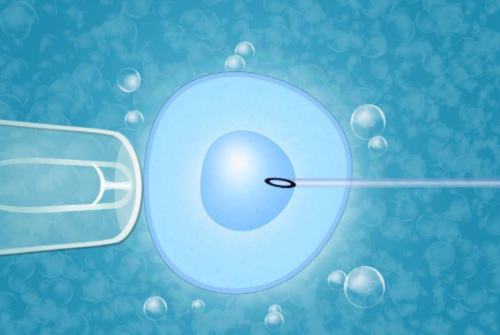代孕费用专业正规&国内同性代生孩子,坐月子