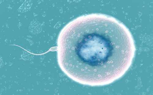 失败后多久进行第二次移植更容易成功呢