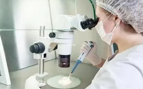 咨询国内代孕公司,国内私立供卵中心,
              宝宝断奶的最佳时间是一年四