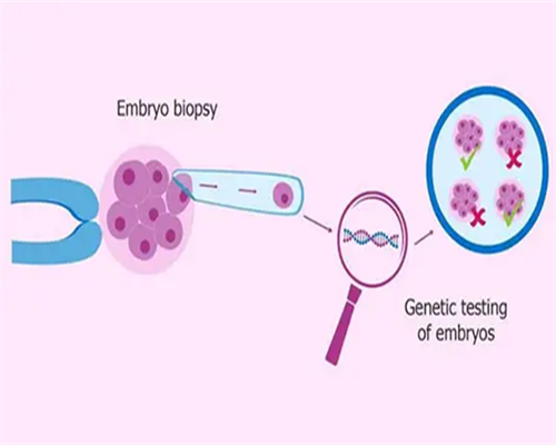 <b>移植后胚胎成功着床的10个信号‼️远离担心</b>