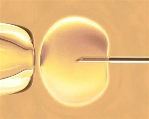 <b>供卵代孕机构-第三试管代孕,雌二醇和孕酮低能促排卵吗？雌二醇和孕酮低影响</b>