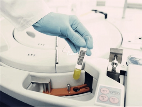 正规试管代孕公司,武威男科医院哪家好60s便知，2026排名靠前的都在这