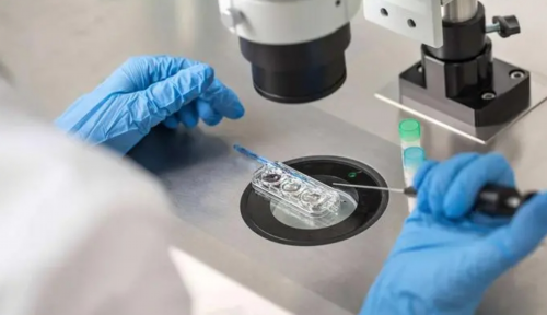 孩子是从我肚子里出来的，但却不是亲生滴