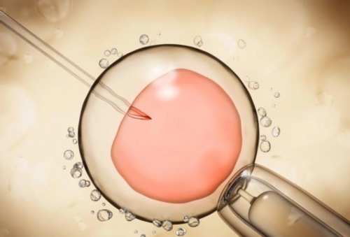 冷冻胚胎属于谁？