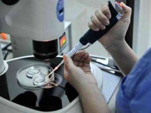 供卵试管婴儿，试管取卵后卵巢多久可以恢复好[剖腹产后多久可以恢复]