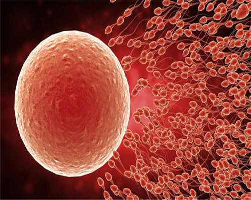 末次10月7日，孕7周大出血住院保胎